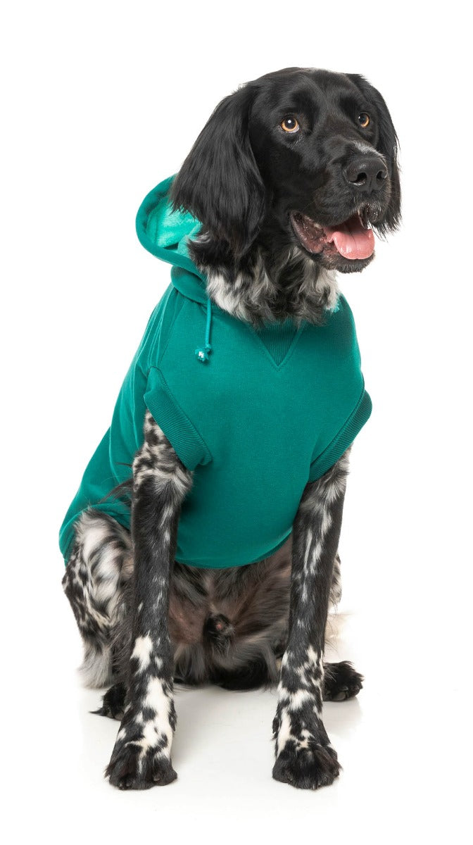 Wooftagram Hoodie - Green by Fuzzyard