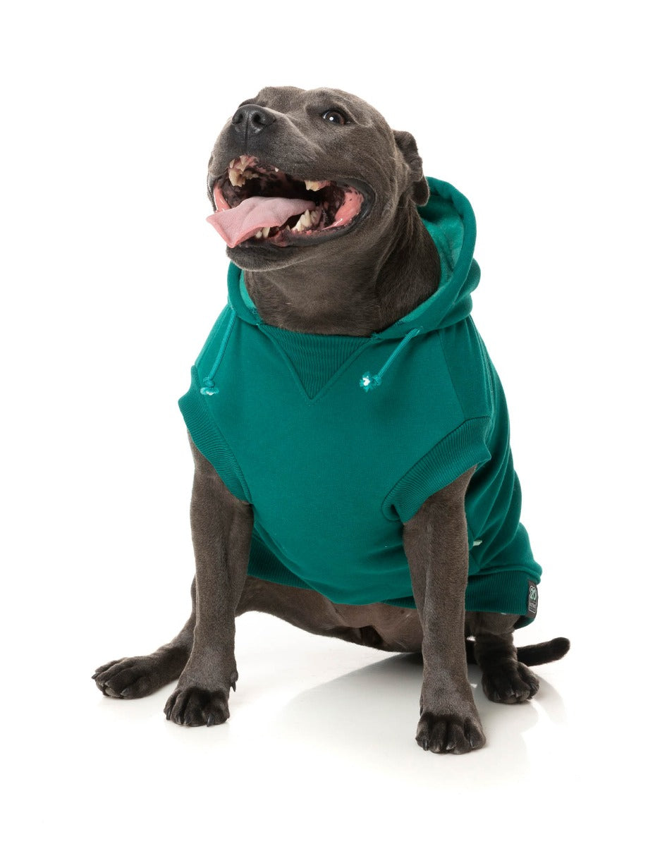 Wooftagram Hoodie - Green by Fuzzyard