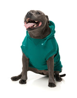 Wooftagram Hoodie - Green by Fuzzyard