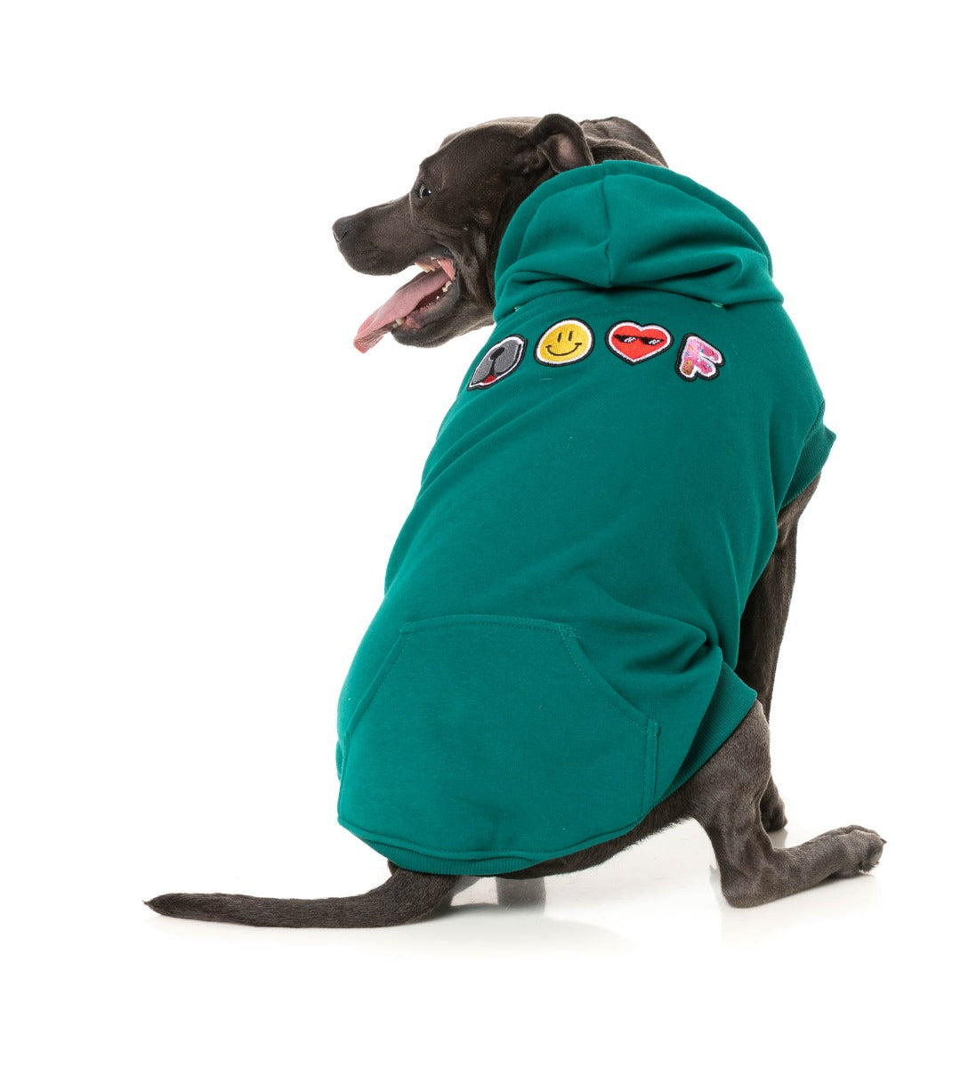 Wooftagram Hoodie - Green by Fuzzyard