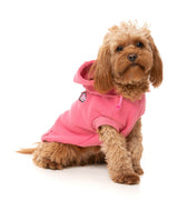 Wooftagram Hoodie - Pink by Fuzzyard