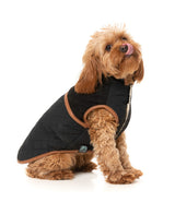 Ivanhoe Jacket - Black by Fuzzyard