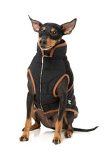 Ivanhoe Jacket - Black by Fuzzyard