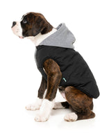 Cremorne Hoodie - Black by FuzzYard
