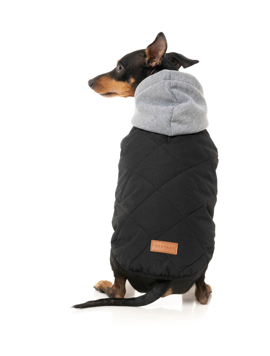 Cremorne Hoodie - Black by FuzzYard