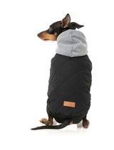 Cremorne Hoodie - Black by FuzzYard