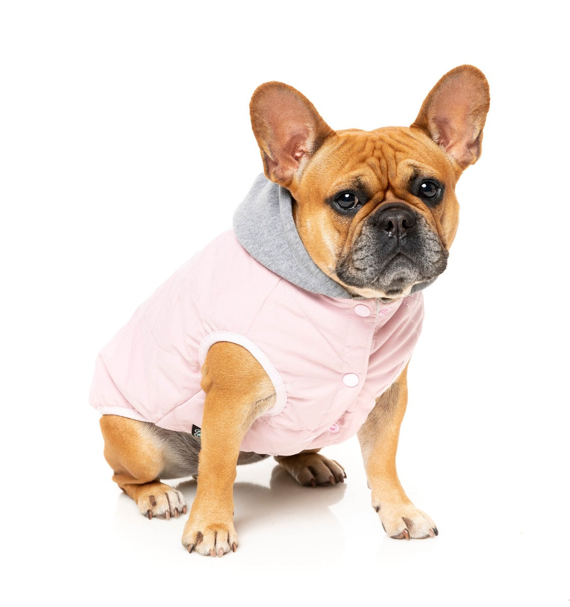 Cremorne Hoodie - Pink by FuzzYard