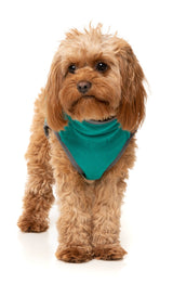 Fitzroy Jacket - Green by Fuzzyard