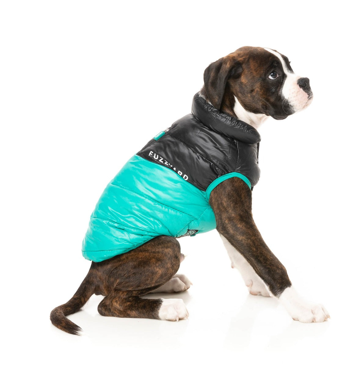South Harlem Jacket - Teal by Fuzzyard