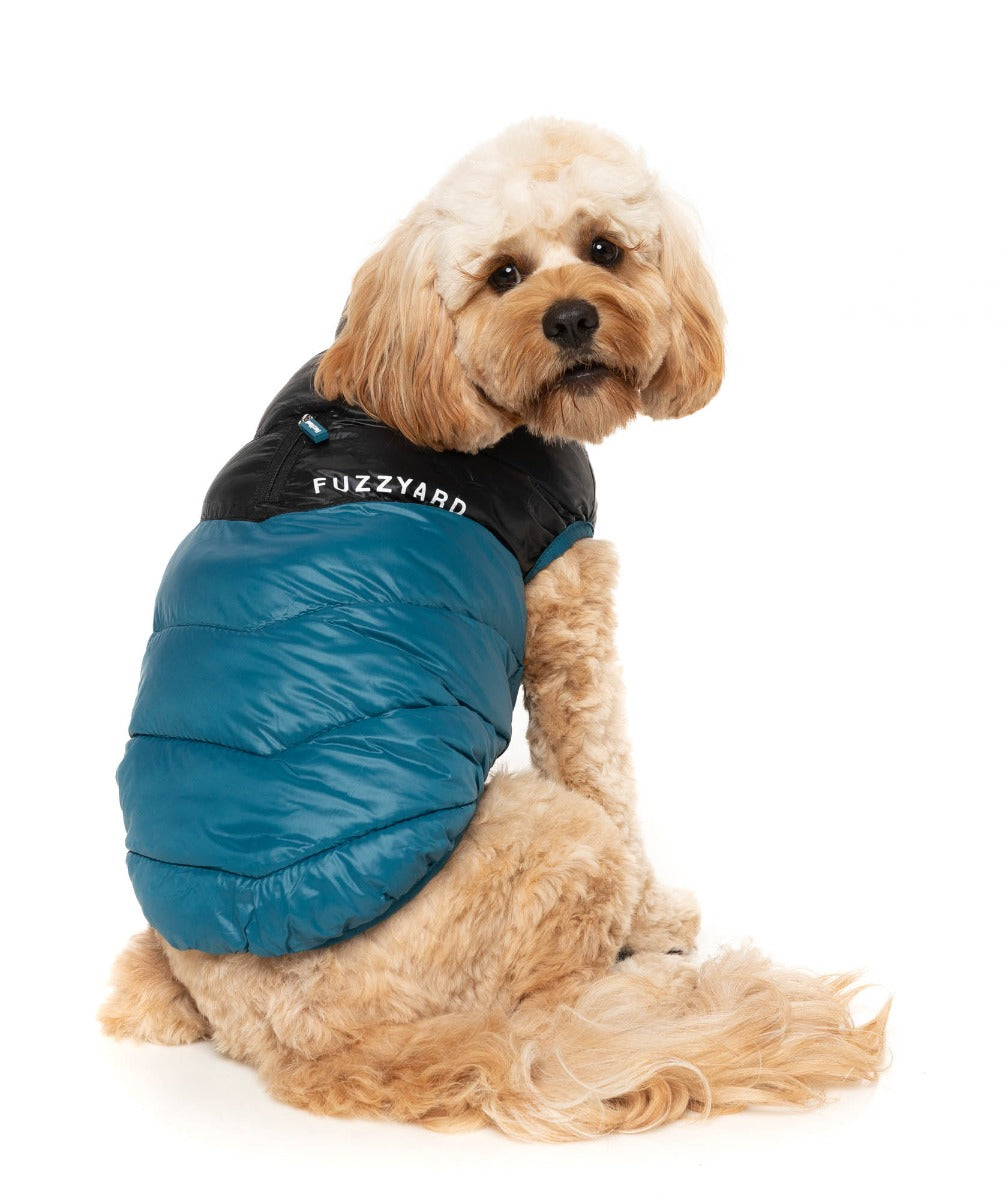South Harlem Jacket - Marine by Fuzzyard