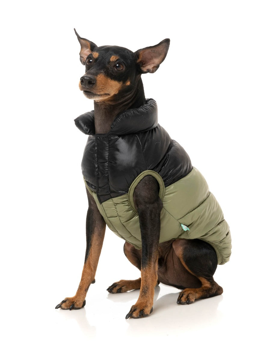South Harlem Jacket - Olive by Fuzzyard
