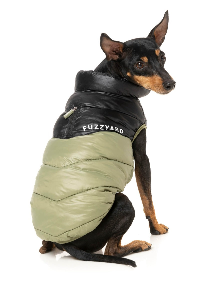 South Harlem Jacket - Olive by Fuzzyard