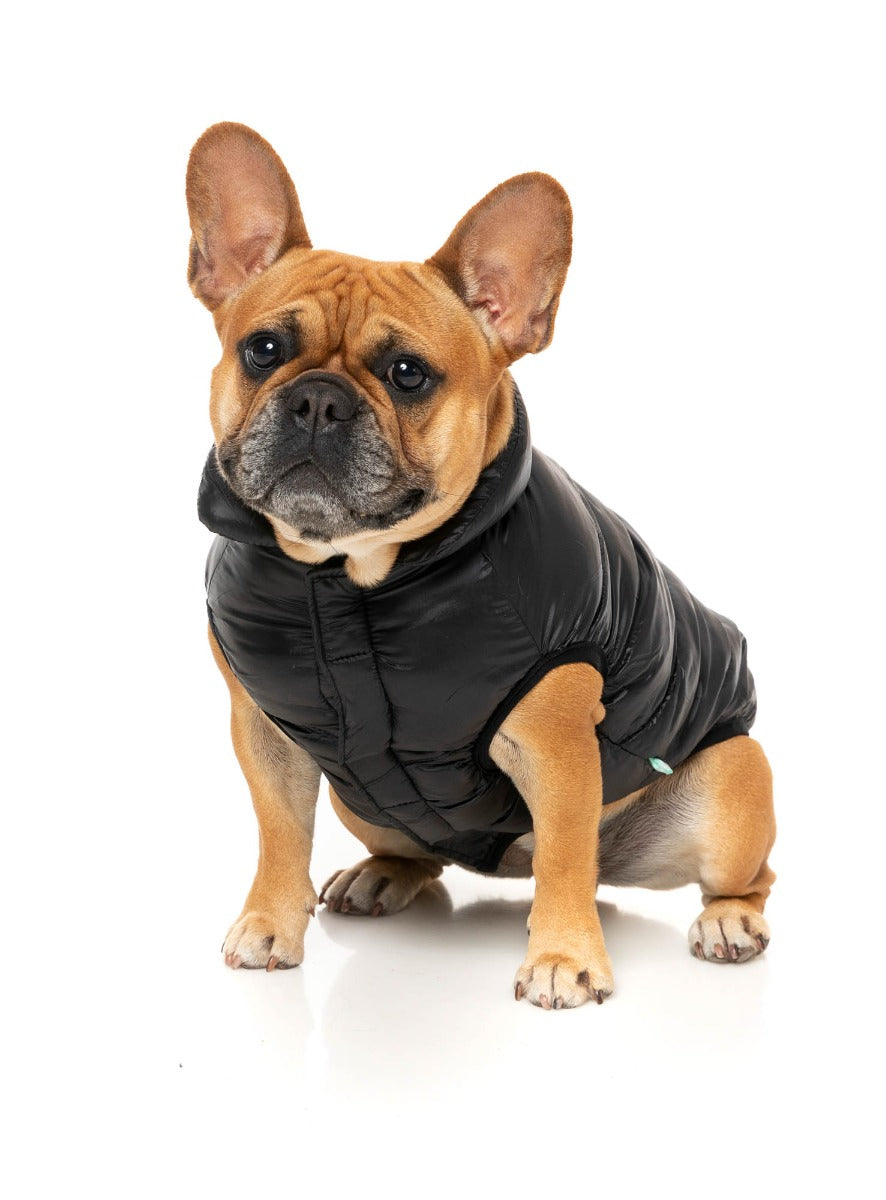 South Harlem Jacket - Black by Fuzzyard