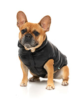 South Harlem Jacket - Black by Fuzzyard