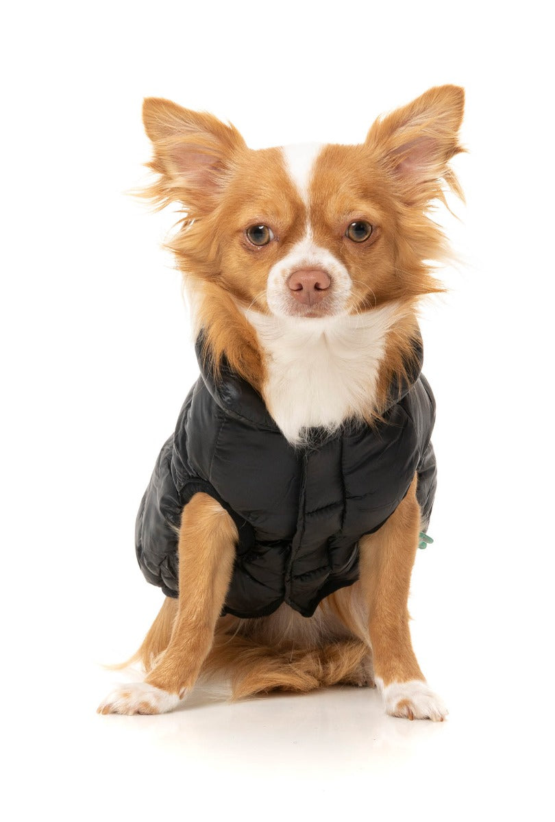 South Harlem Jacket - Black by Fuzzyard