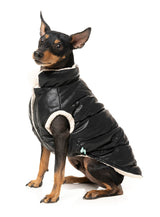 Milano Jacket - Black by Fuzzyard