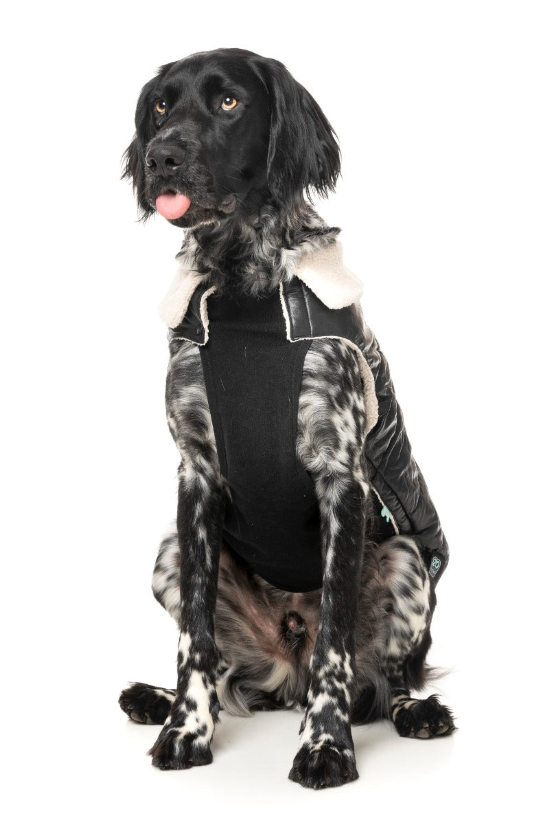 Sebastian Jacket - Black by Fuzzyard