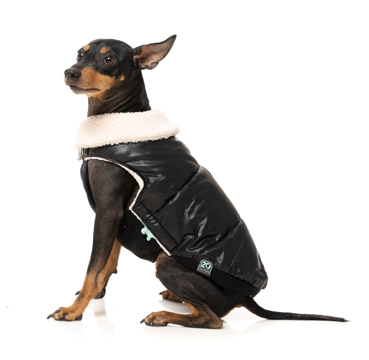 Sebastian Jacket - Black by Fuzzyard