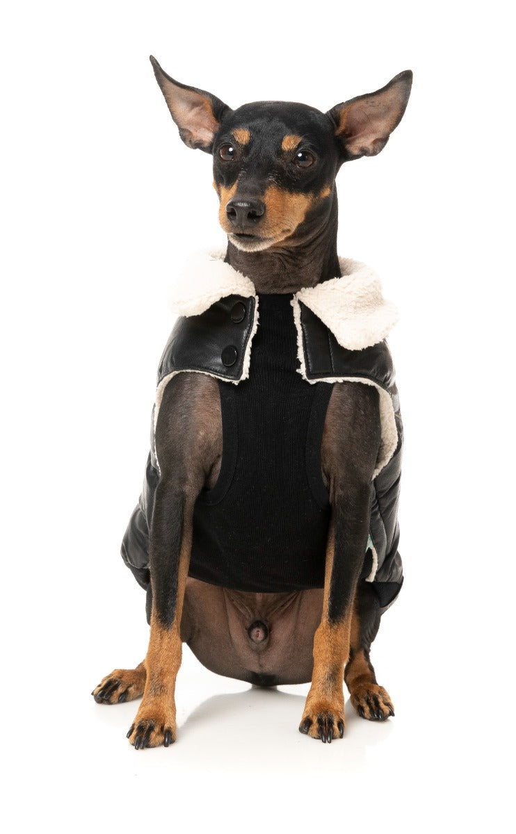Sebastian Jacket - Black by Fuzzyard