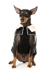 Sebastian Jacket - Black by Fuzzyard