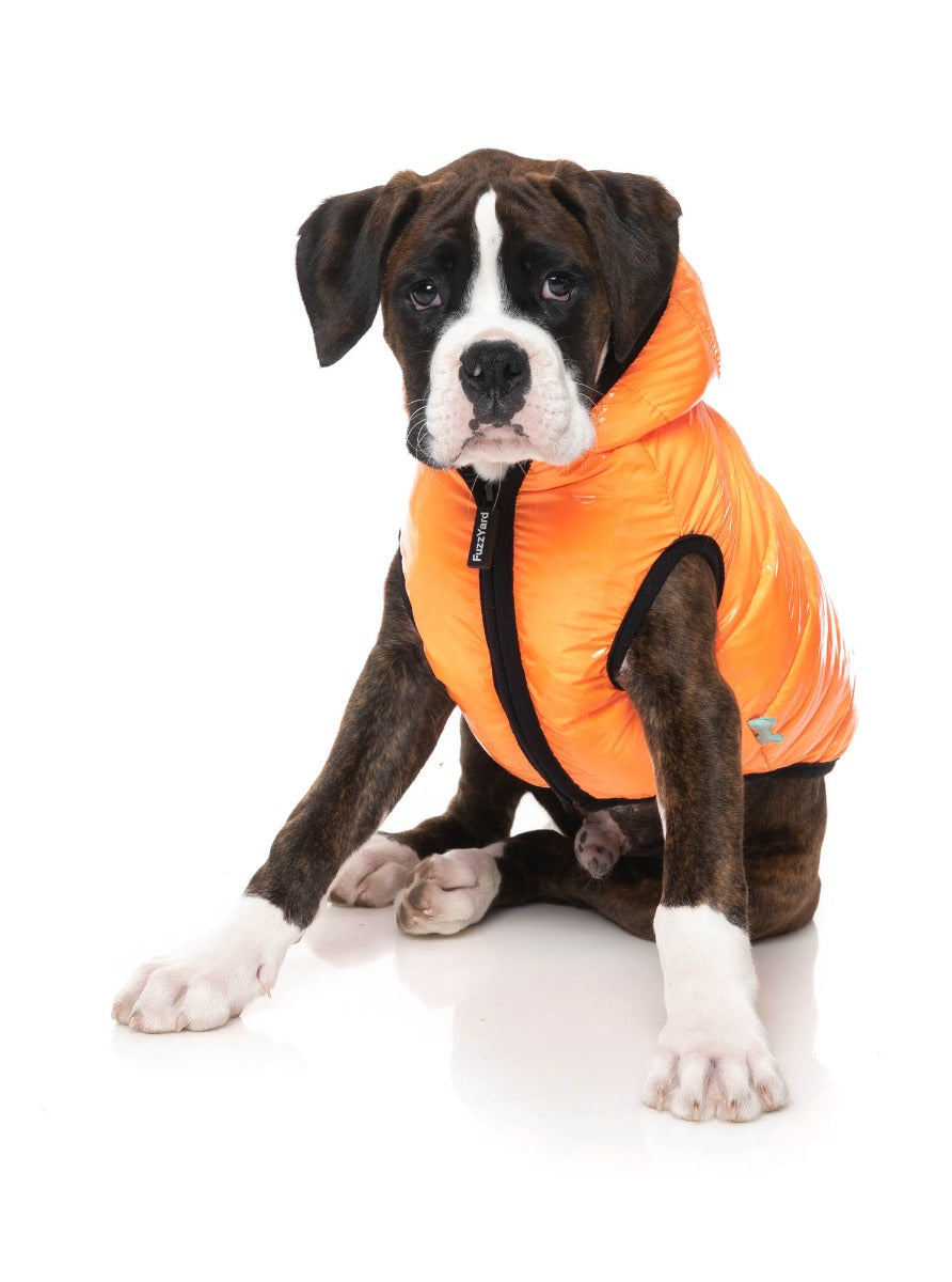 Aeon Hoodie - Orange by Fuzzyard