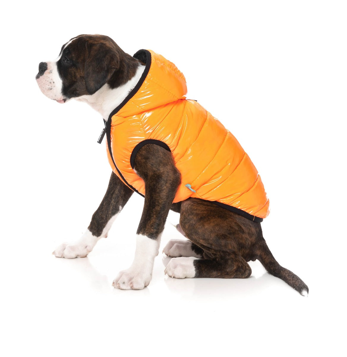 Aeon Hoodie - Orange by Fuzzyard