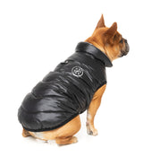 Hakuba Jacket - Black by Fuzzyard
