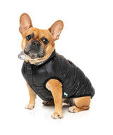 Hakuba Jacket - Black by Fuzzyard