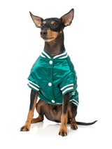 Fastball Jacket - Green by Fuzzyard