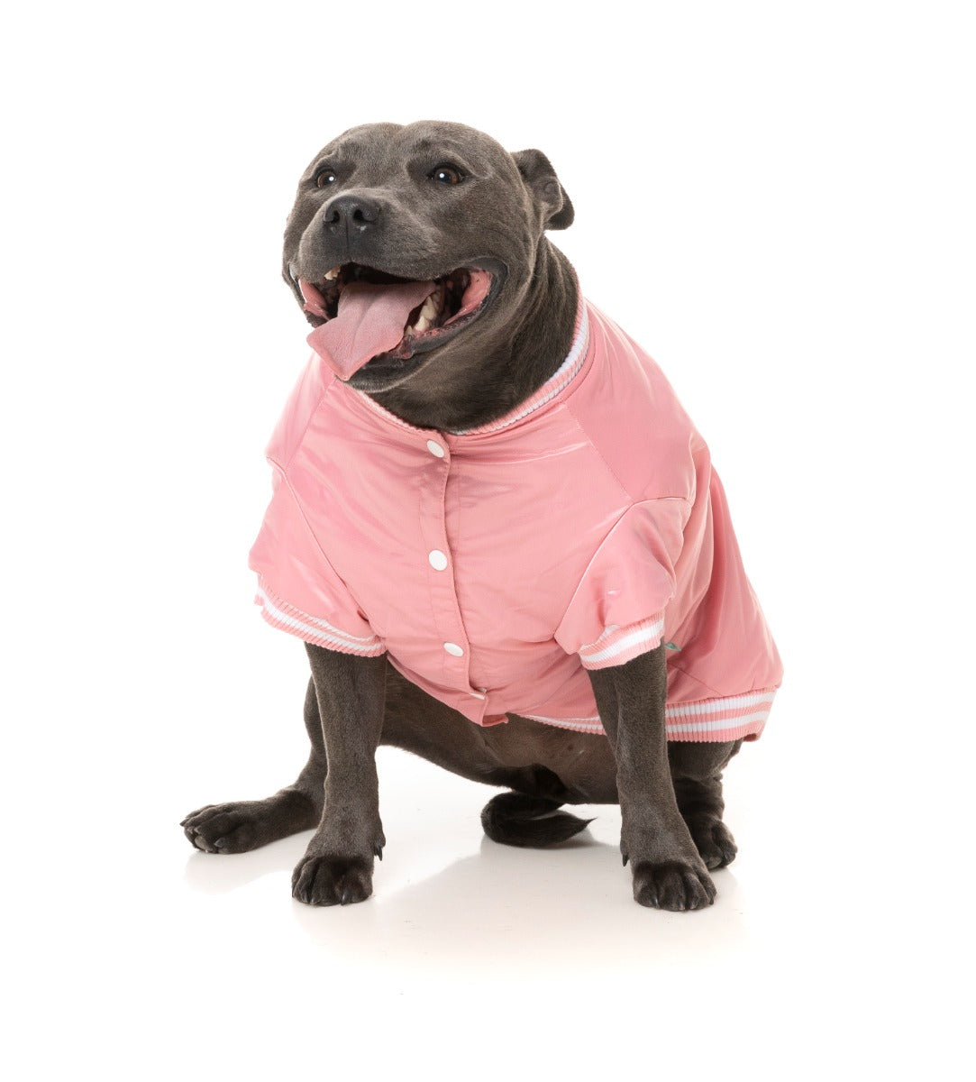 Fastball Jacket - Pink by Fuzzyard