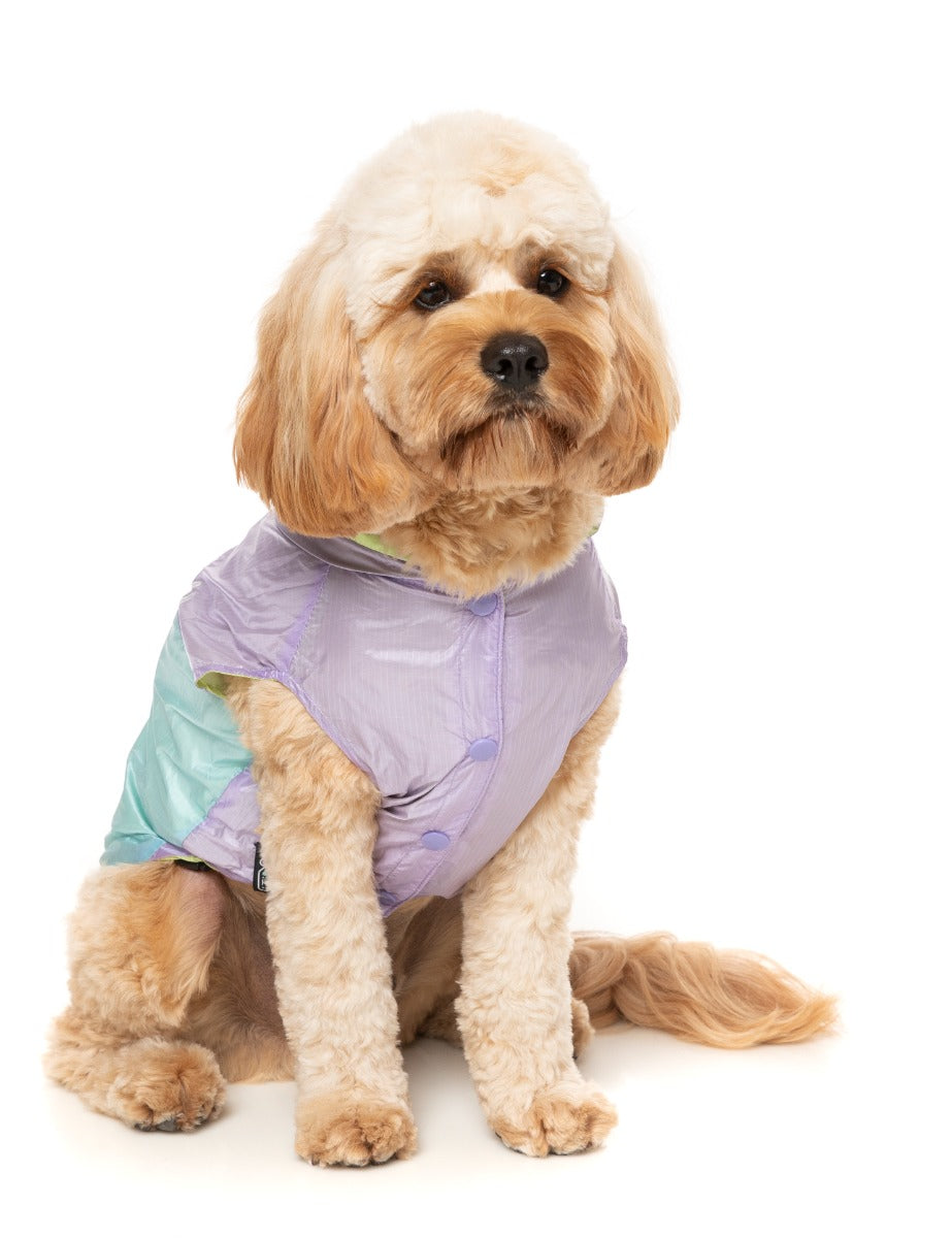 Ormond Raincoat - Purple/Blue by Fuzzyard