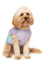 Ormond Raincoat - Purple/Blue by Fuzzyard