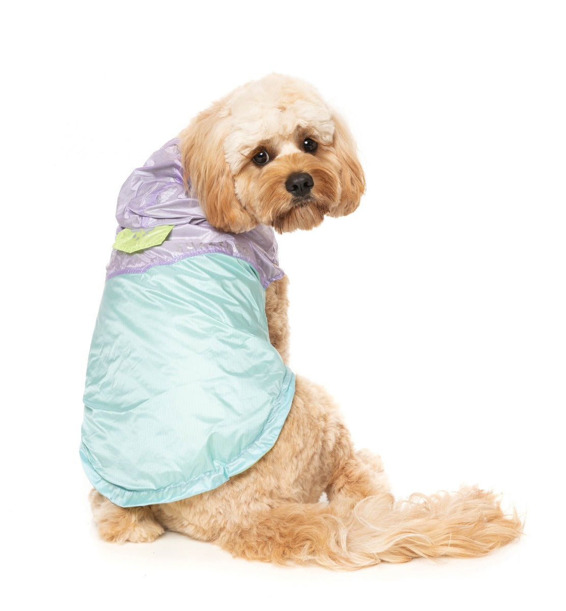 Ormond Raincoat - Purple/Blue by Fuzzyard