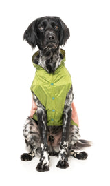 Ormond Raincoat - Olive/Pink by Fuzzyard