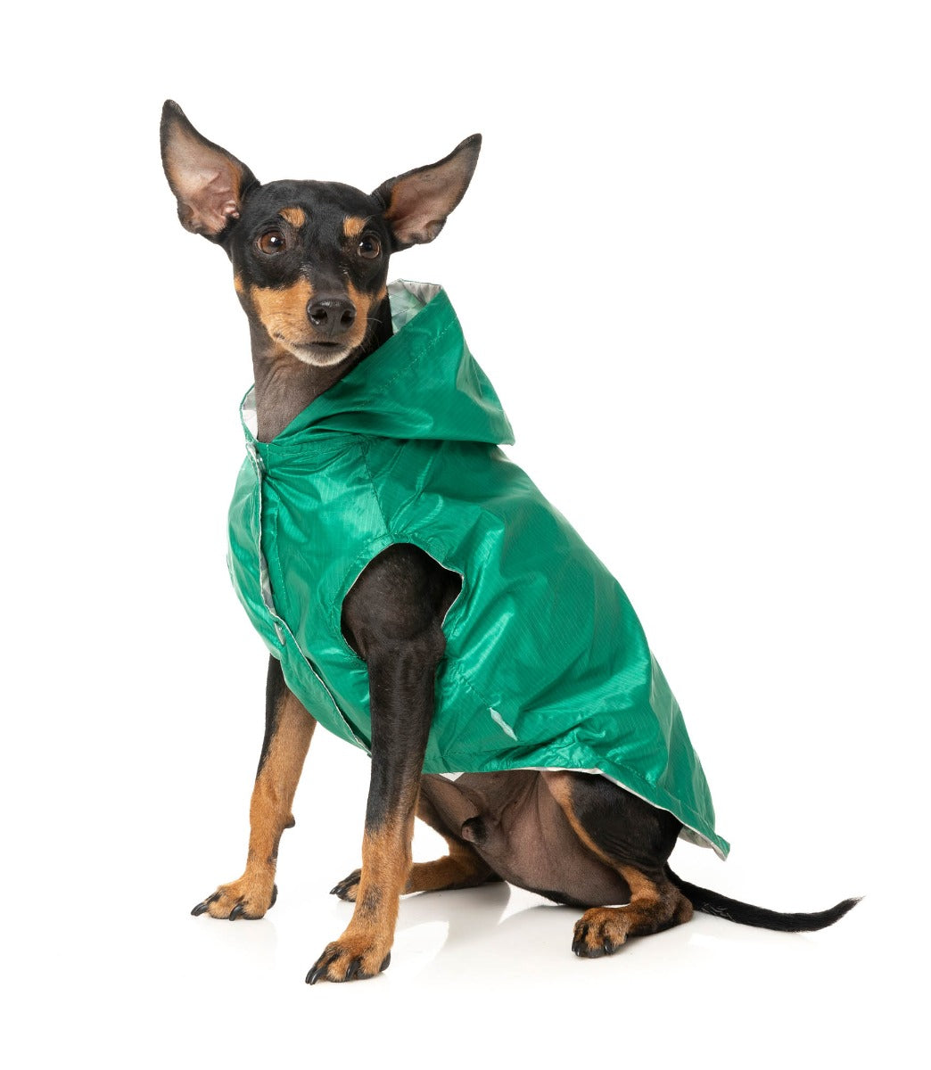 Flipside Raincoat - Green/Beige by FuzzYard