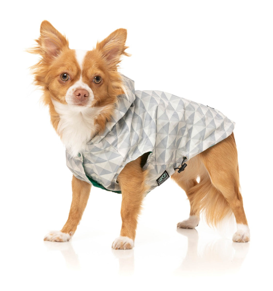 Flipside Raincoat - Green/Beige by FuzzYard