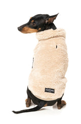 Turtle Teddy Sweater - Beige by Fuzzyard