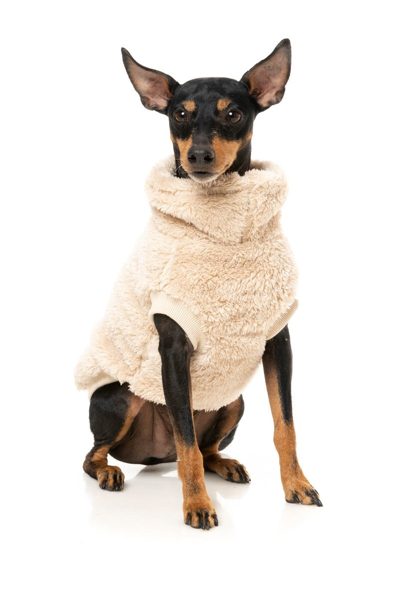 Turtle Teddy Sweater - Beige by Fuzzyard