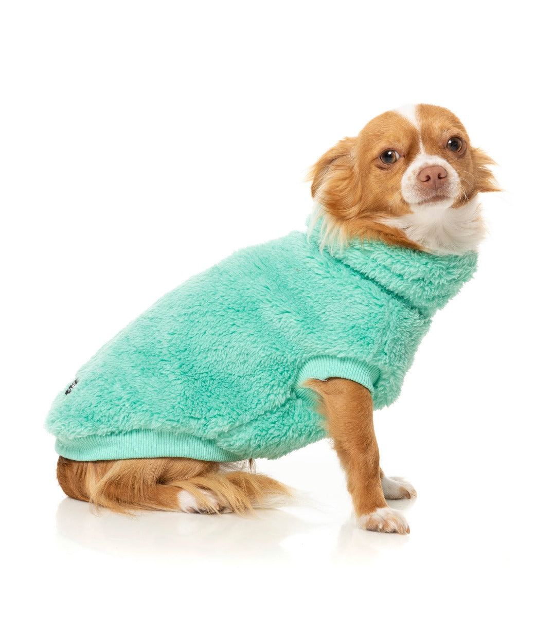Turtle Teddy Sweater - Teal by Fuzzyard