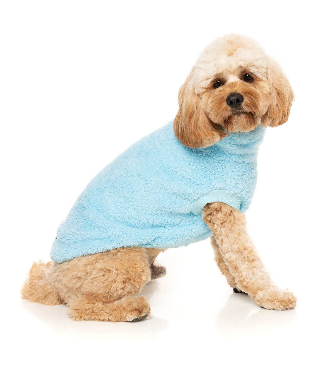Turtle Teddy Sweater - Blue by Fuzzyard