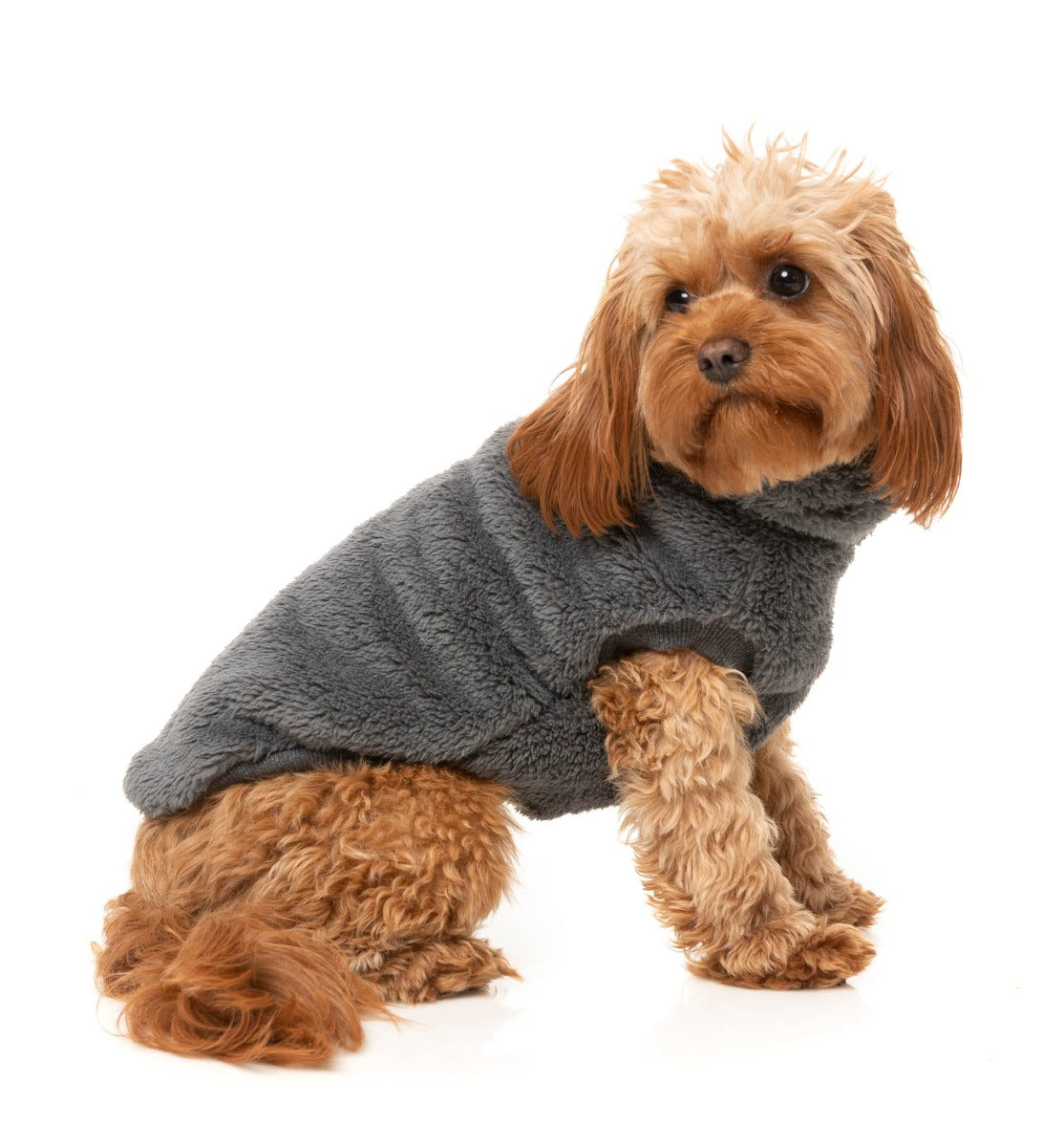 Turtle Teddy Sweater - Charcoal by Fuzzyard