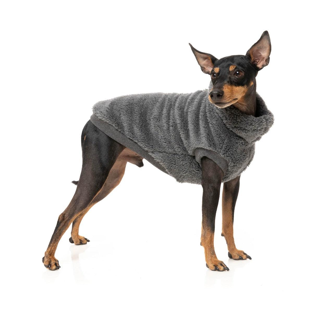 Turtle Teddy Sweater - Charcoal by Fuzzyard