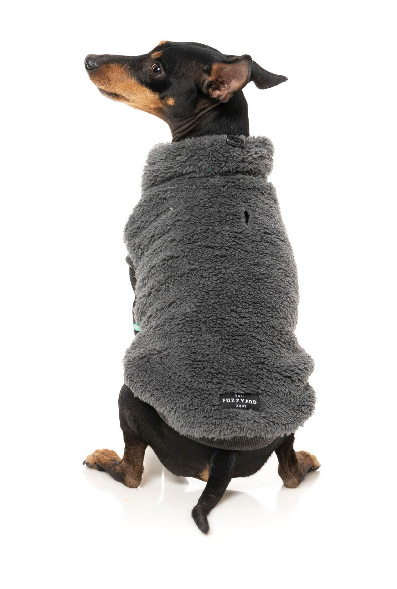 Turtle Teddy Sweater - Charcoal by Fuzzyard
