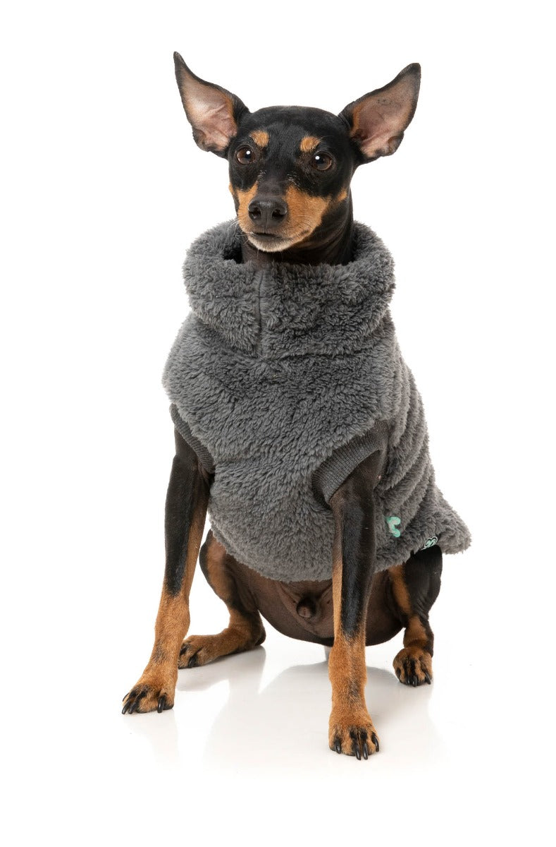 Turtle Teddy Sweater - Charcoal by Fuzzyard