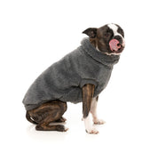Turtle Teddy Sweater - Charcoal by Fuzzyard