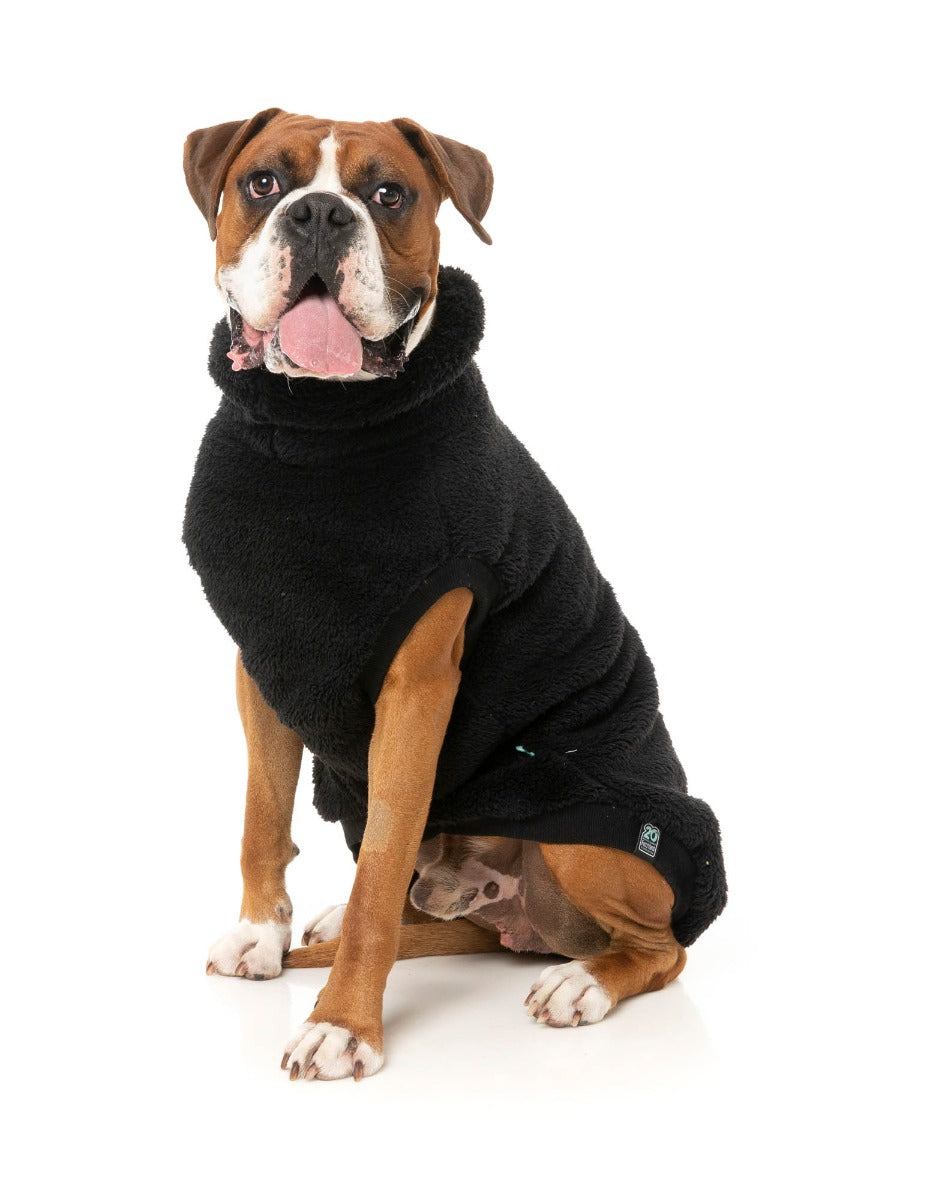 Turtle Teddy Sweater - Black by Fuzzyard