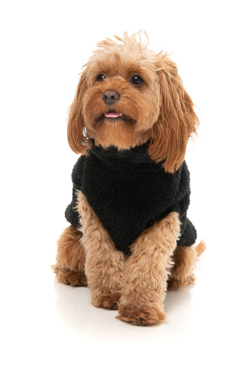 Turtle Teddy Sweater - Black by Fuzzyard