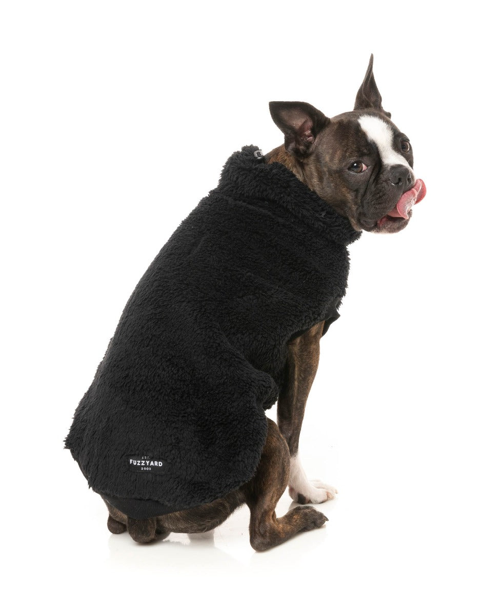 Turtle Teddy Sweater - Black by Fuzzyard