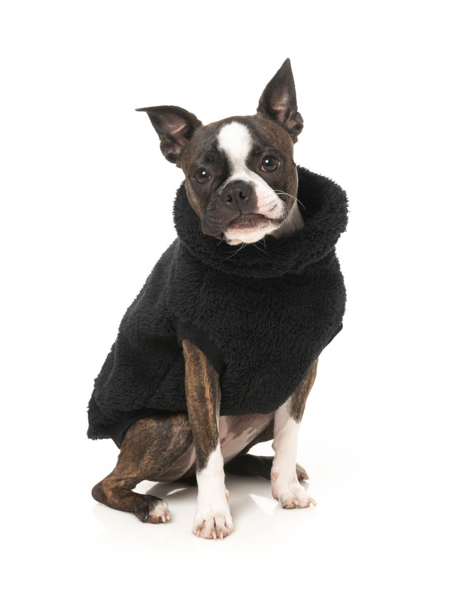 Turtle Teddy Sweater - Black by Fuzzyard