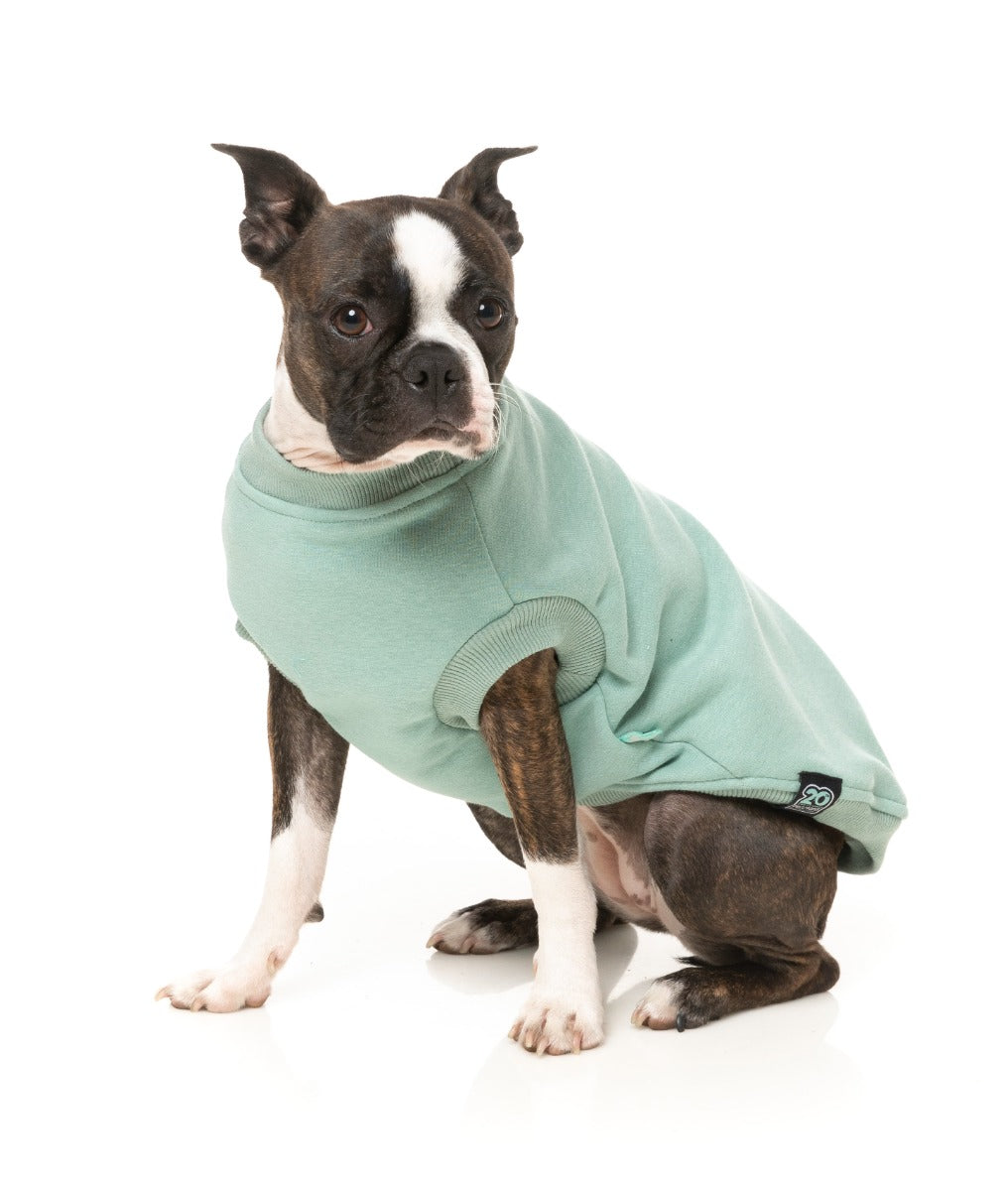 Allday Sweater - Mint by FuzzYard